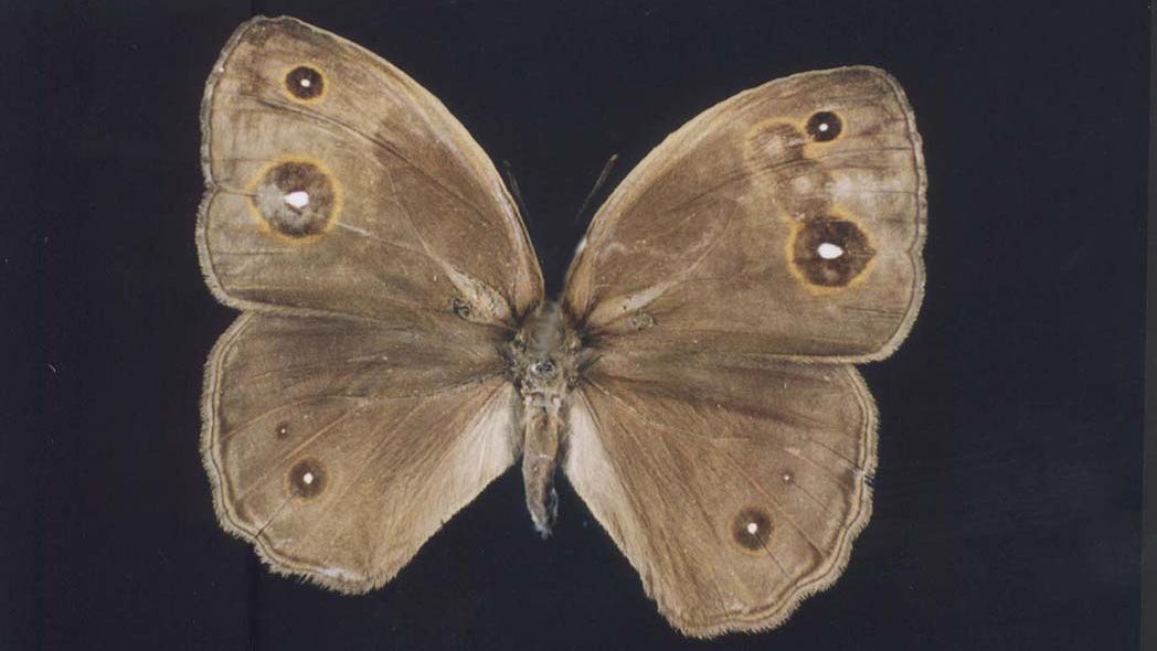 uclartsci's tweet photo. Art|Sci Center News + Upcoming Events! - https://t.co/Gjcwih0RZN https://t.co/eoOyFWfShT