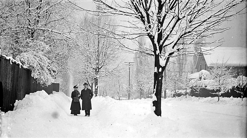 Alan MacEachern tweet media