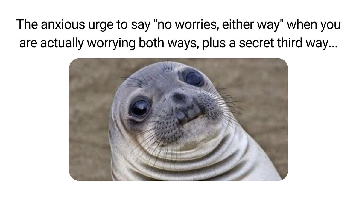TwinklAustralia's tweet photo. Why do we do this to ourselves? https://t.co/49CYkCuH00 #twinklaustralia #teacherresources #fridayfunny #funnymeme #meme #primarylearning #teachercommunity #teachertwitter #edutwitter https://t.co/WIyeEXVh2a