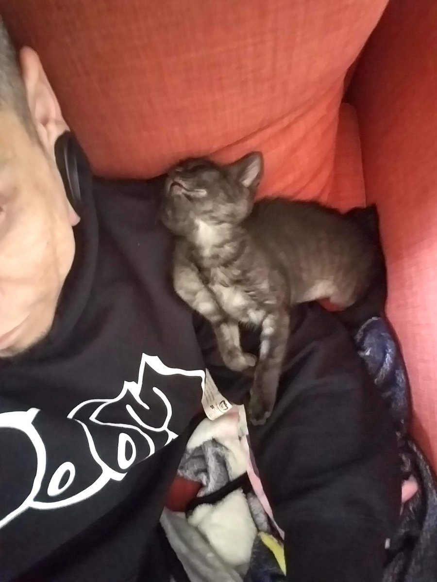 she was so tiny!!! she still sleeps like this