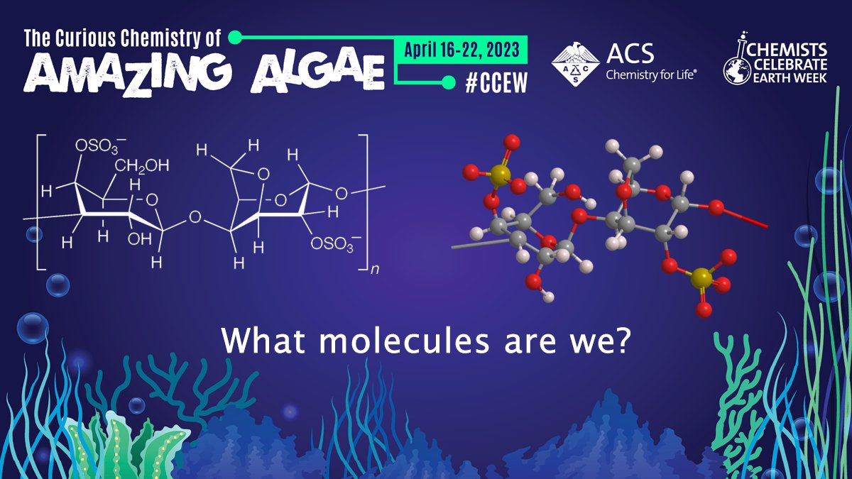 MOTW_ACS's tweet photo. One of us could be a future COVID-19 treatment. What molecules are we? https://t.co/ApnP90ecY8 #MOTW_ACS #CCEW #AmazingAlgae #EarthDay2023 https://t.co/IjfsgXbWXn