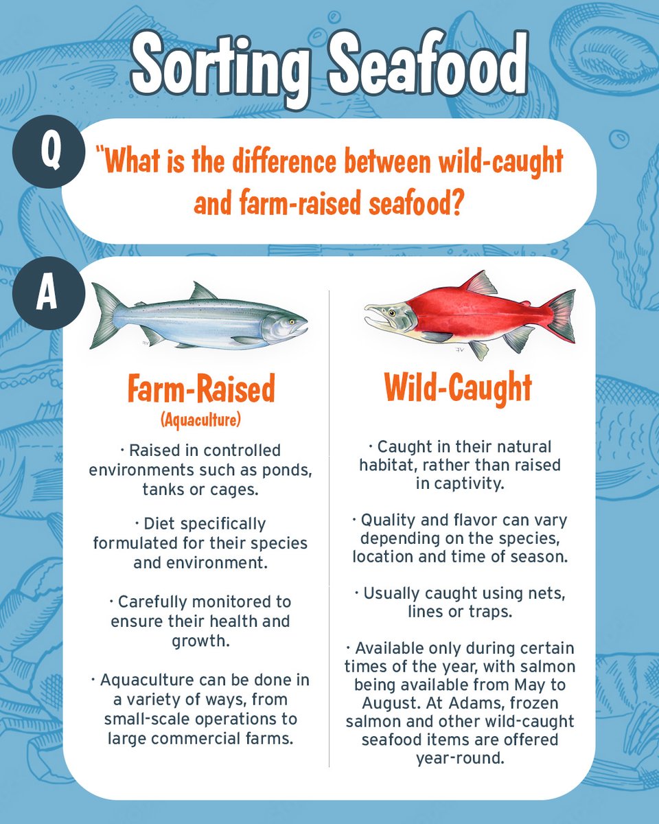 AdamsFarms's tweet image. Wild caught or farm raised fish? 🐟There are major differences between the two! Which one will you choose? Read more on our blog: hubs.li/Q01LKYmf0 #seafood #wildcaught #farmraised #fishmonger