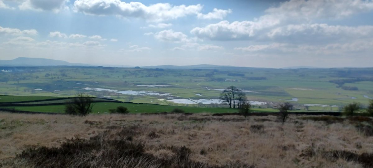 Great to visit the Long Preston Floodplain project today. Inspired by the tenacity & leadership shown by the project team over the years @RibbleTrust @ydmt @forestofbowland @yorkshire_dales