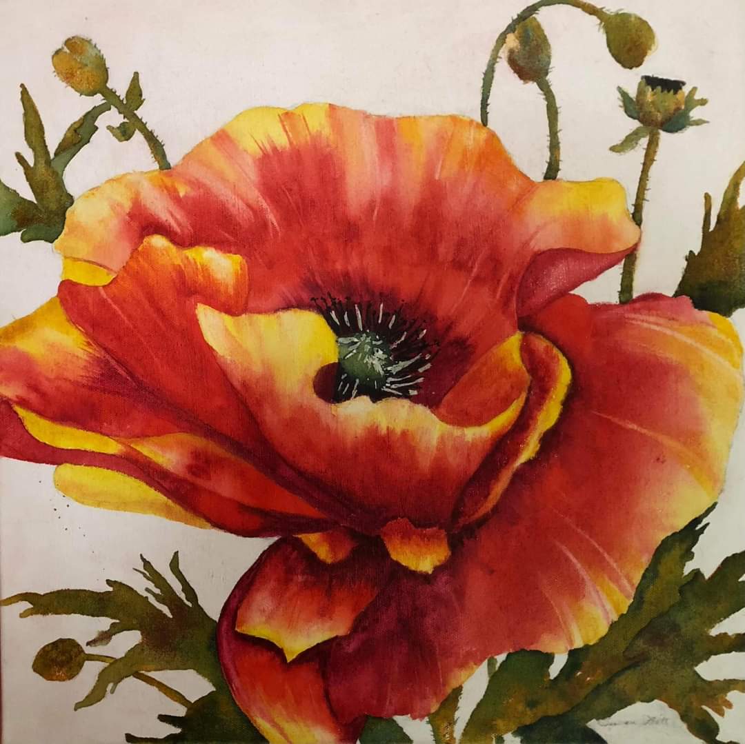 Gallery62West's tweet photo. You can still sign up for watercolor classes being taught by the amazing Susan Witt.   April 21 and 22 from 1pm to 3pm  More information on our Facebook page https://t.co/U03pvtVvCE