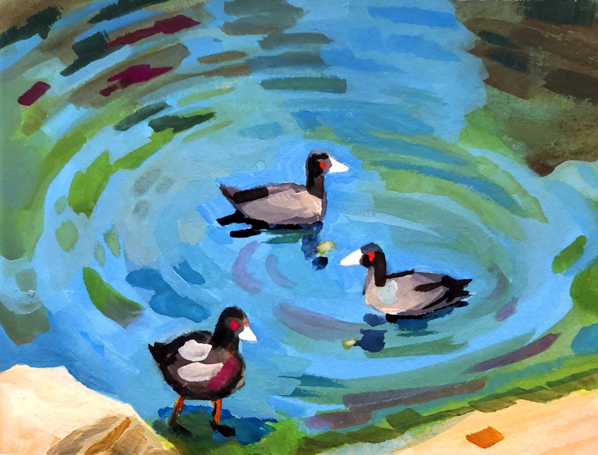 #PleinAirpril The tank is running low you guys, so I took a little break. Here are some American Coots to get me back onto the gouache horse 16/30