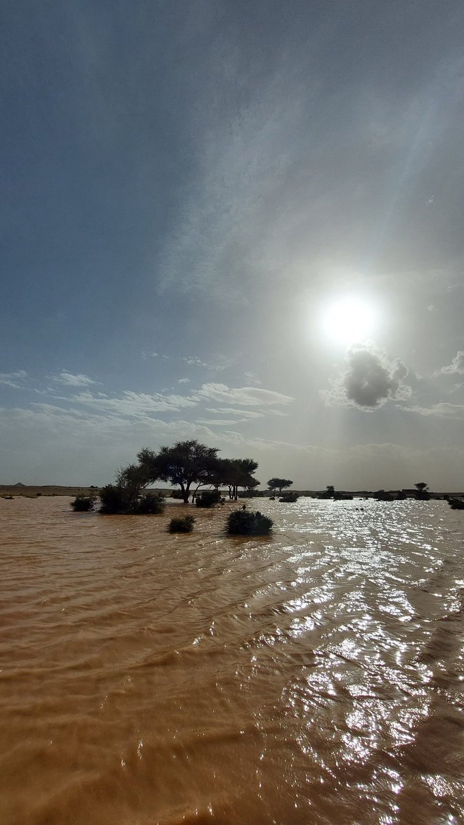 AfyaiAl's tweet photo. خيرات في شهر الخير ١٤٤٤
#تصويري https://t.co/dzdN5pFpoT