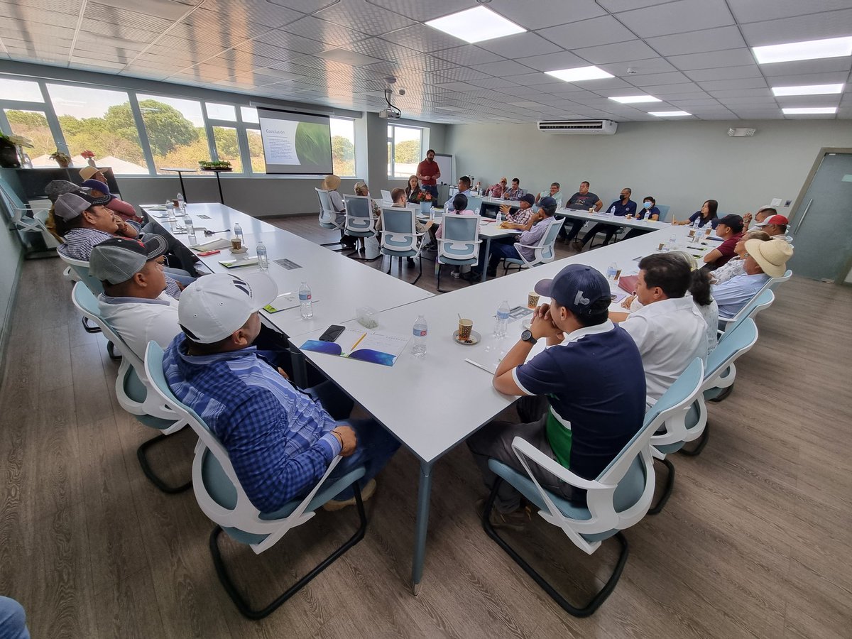GreenLabBiotech's tweet photo. A través de la tecnología y la innovación estamos forjando una nueva cultura para contribuir al desarrollo la agricultura de nuestra región..
Primera Jornada de Biotecnología enfocada en la producción in vitro de Plátano.
#GreenLabBiotech #Reforestación #Panamá https://t.co/WgbYtkRuE8