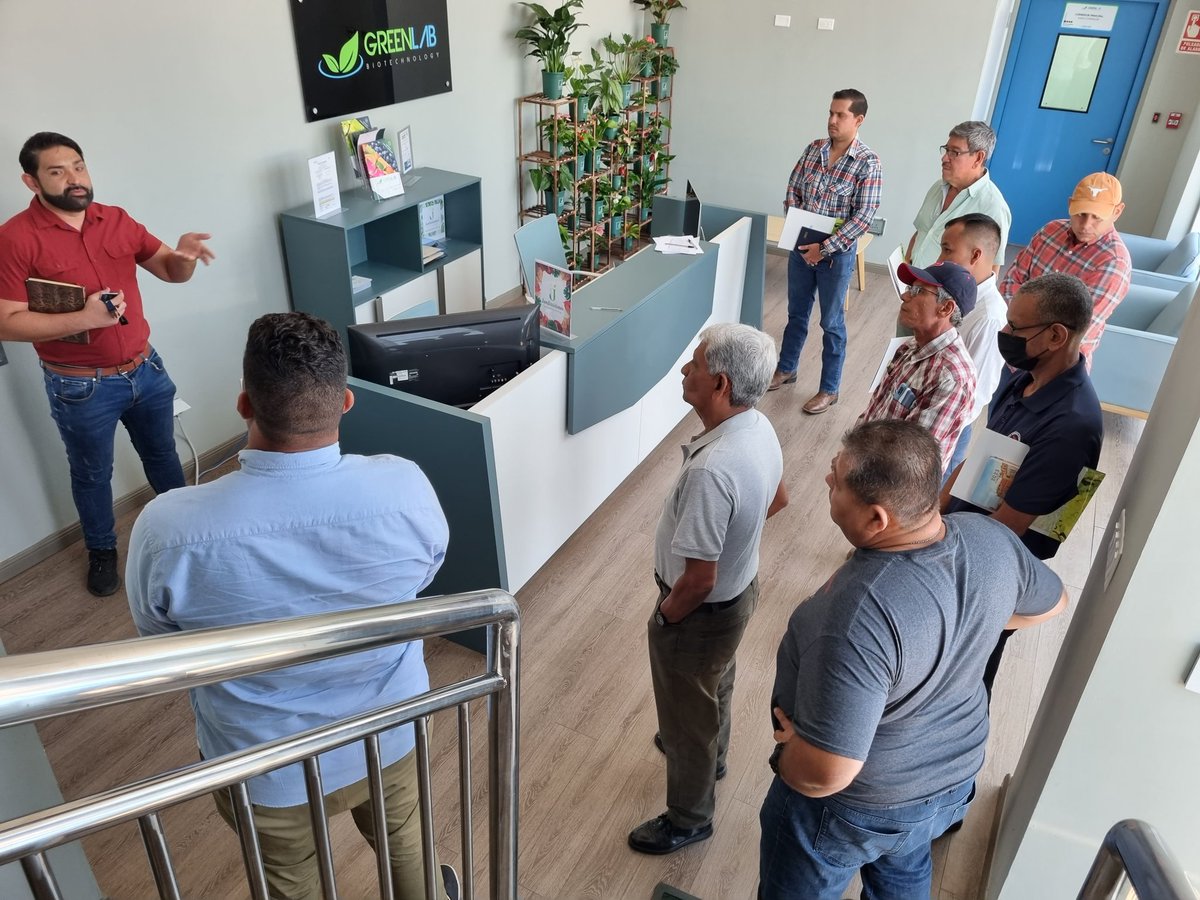 GreenLabBiotech's tweet photo. A través de la tecnología y la innovación estamos forjando una nueva cultura para contribuir al desarrollo la agricultura de nuestra región..
Primera Jornada de Biotecnología enfocada en la producción in vitro de Plátano.
#GreenLabBiotech #Reforestación #Panamá https://t.co/WgbYtkRuE8
