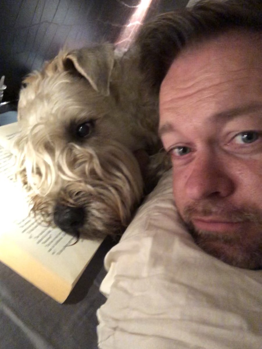 LanbikerPhilip's tweet photo. We’re #reading a #book but it’s not going well. What are you reading? #Bazart #dog #Wheaterterrier https://t.co/66dHGCRezB
