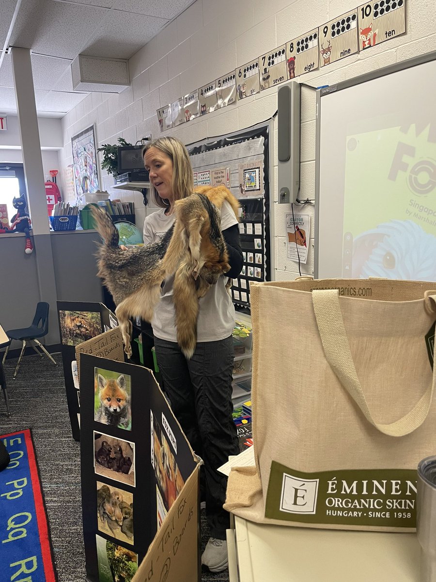 Mrs. DiFonzo tweet media