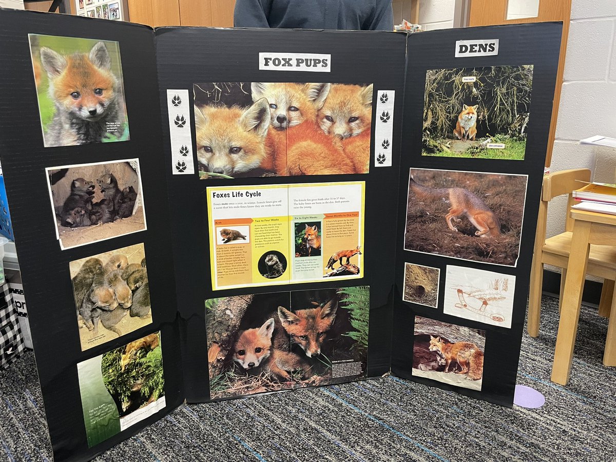 Mrs. DiFonzo tweet media