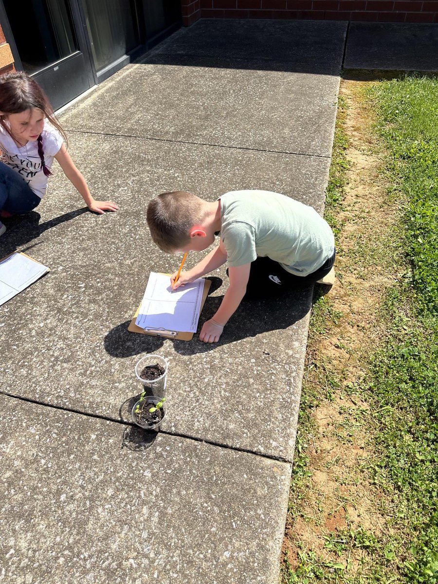 Wilson Elementary tweet media