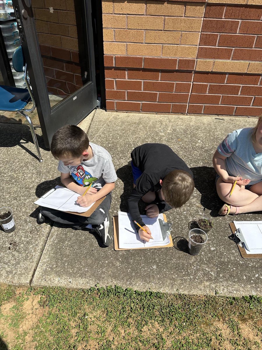 Wilson Elementary tweet media