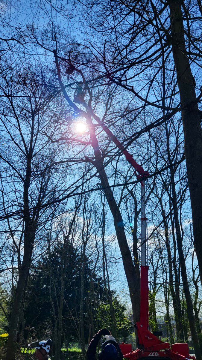 PrimaryTreeSurg's tweet image. What a gorgeous day to #workoutside 

Another MEWP day for the team at #Deane in #Hampshire…this little spider platform with a long reach makes the job safer &amp;amp; quicker, helping us to work as efficiently as possible 

#treesurgery #treesurgeons #teamwork #arb #alwaysgetanexpert