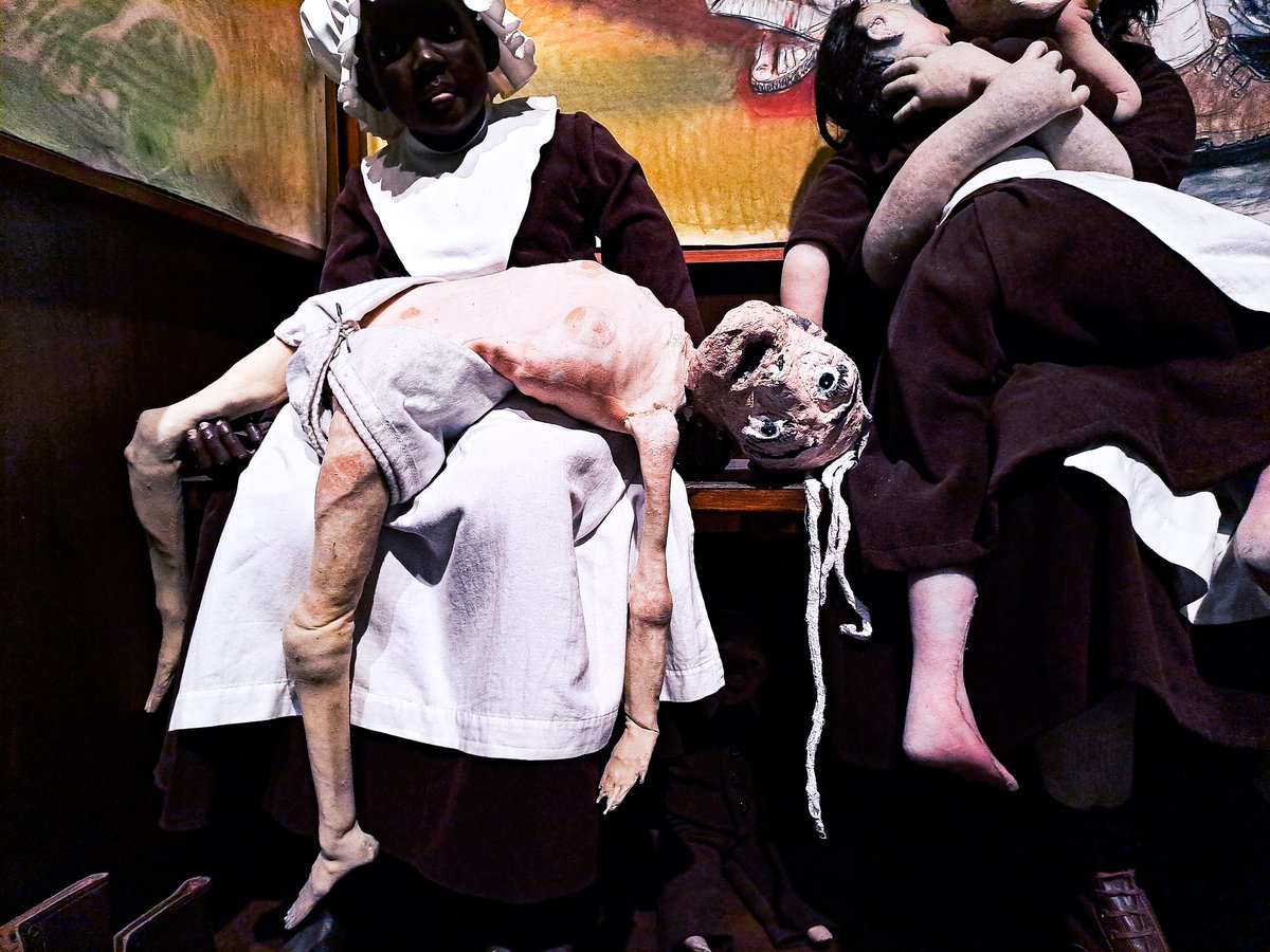 eveinrabbithole's tweet image. #paularego