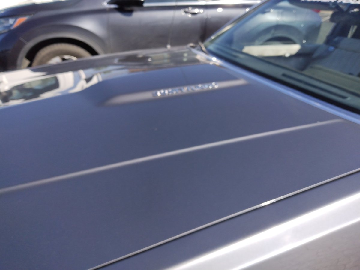 HotrodWolf1's tweet image. At the BMV and this is chilling right in front of me.