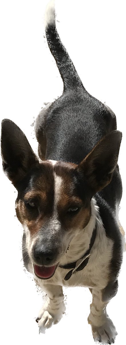 Charles de Fegely tweet media