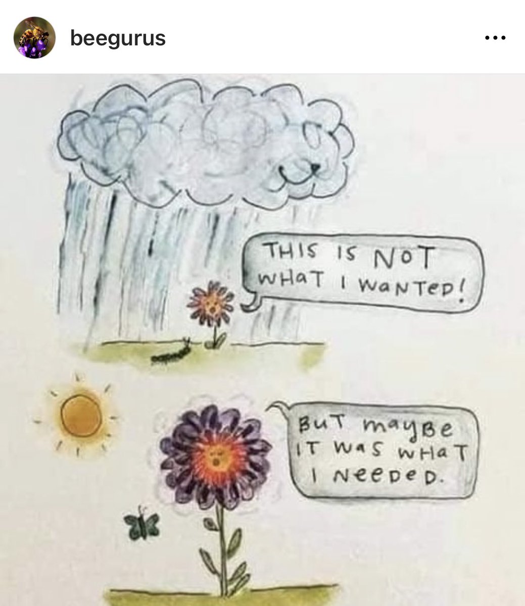 leahwolfewrites's tweet photo. Life on life’s terms….Via beegurus on Instagram 😊 #wisdom https://t.co/SsFnkbTKQe
