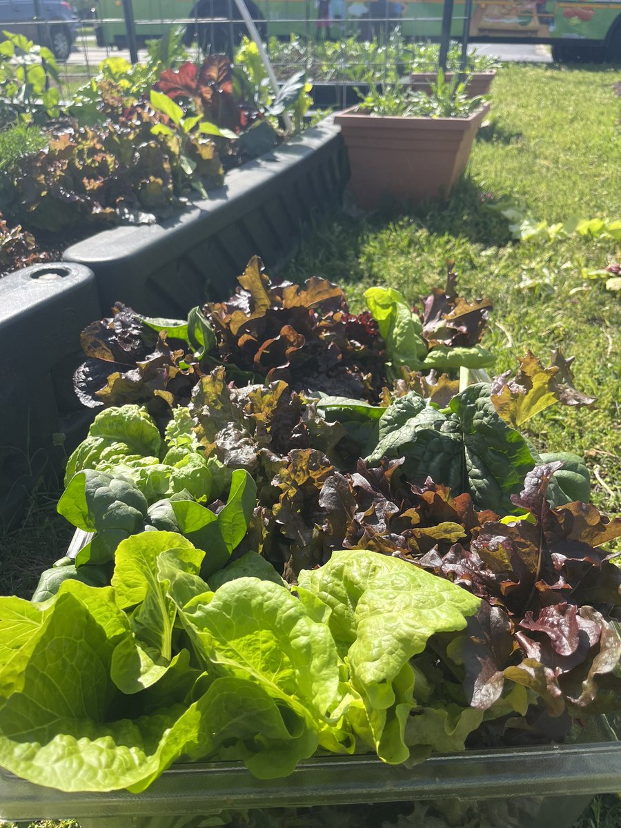 MCSfarmtoschool tweet media