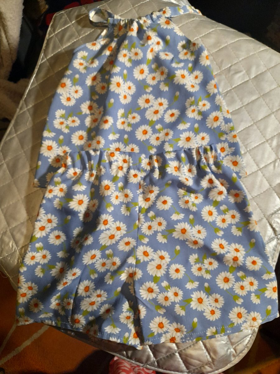 elizabeth johnston tweet media