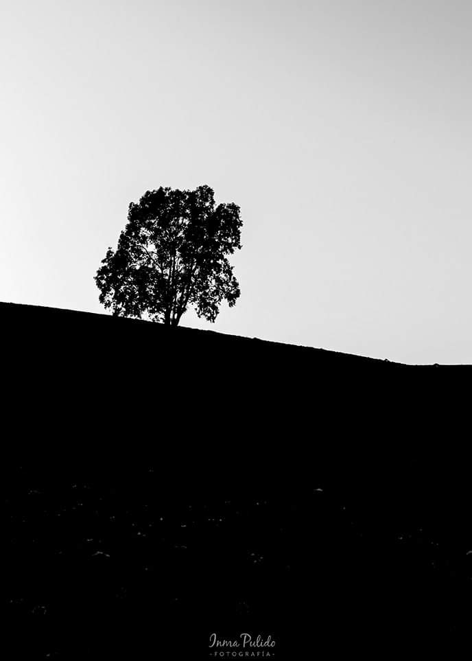 InmaculadaPuli2's tweet photo. La fuerza del blanco y negro.
#blackandwhite #blackandwhitephotography #photooftheday #pregnancy #brunardo https://t.co/cNPrdDnYnk