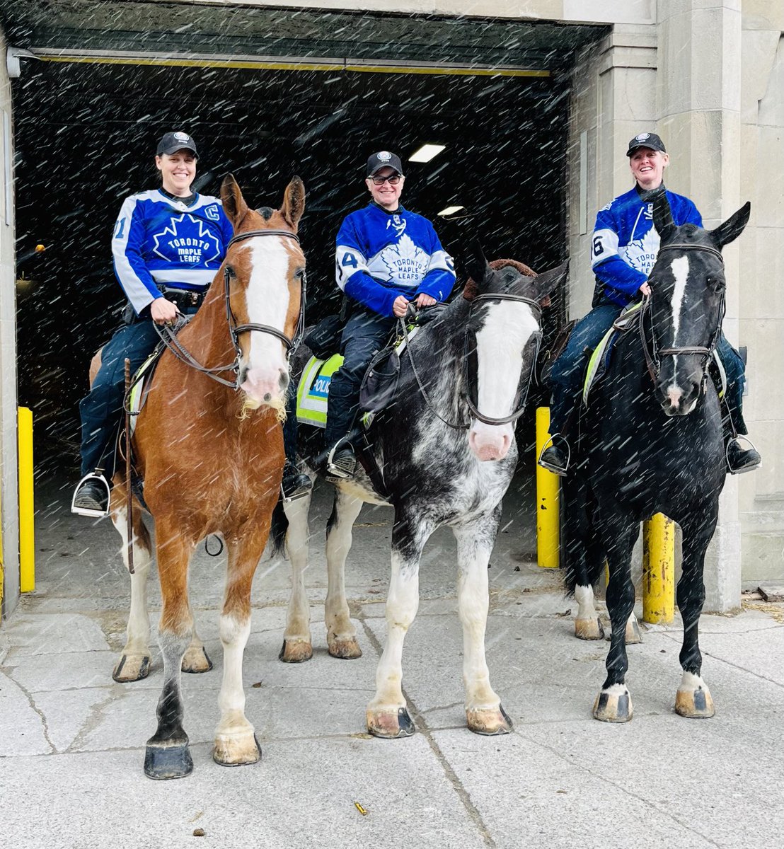 TPSMounted's tweet image. #NHLPlayoffs start tonight for our Toronto Maple Leafs #PHDraper , #PHSaunders, &amp;amp; #PHFirstResponder are hoping for a W! #leafsnation ⁦@MapleLeafs⁩ #yupthatssnow #GoLeafsGo #toronto #tampa Everyone have fun and be safe tonight! Mounted will be down there🏒