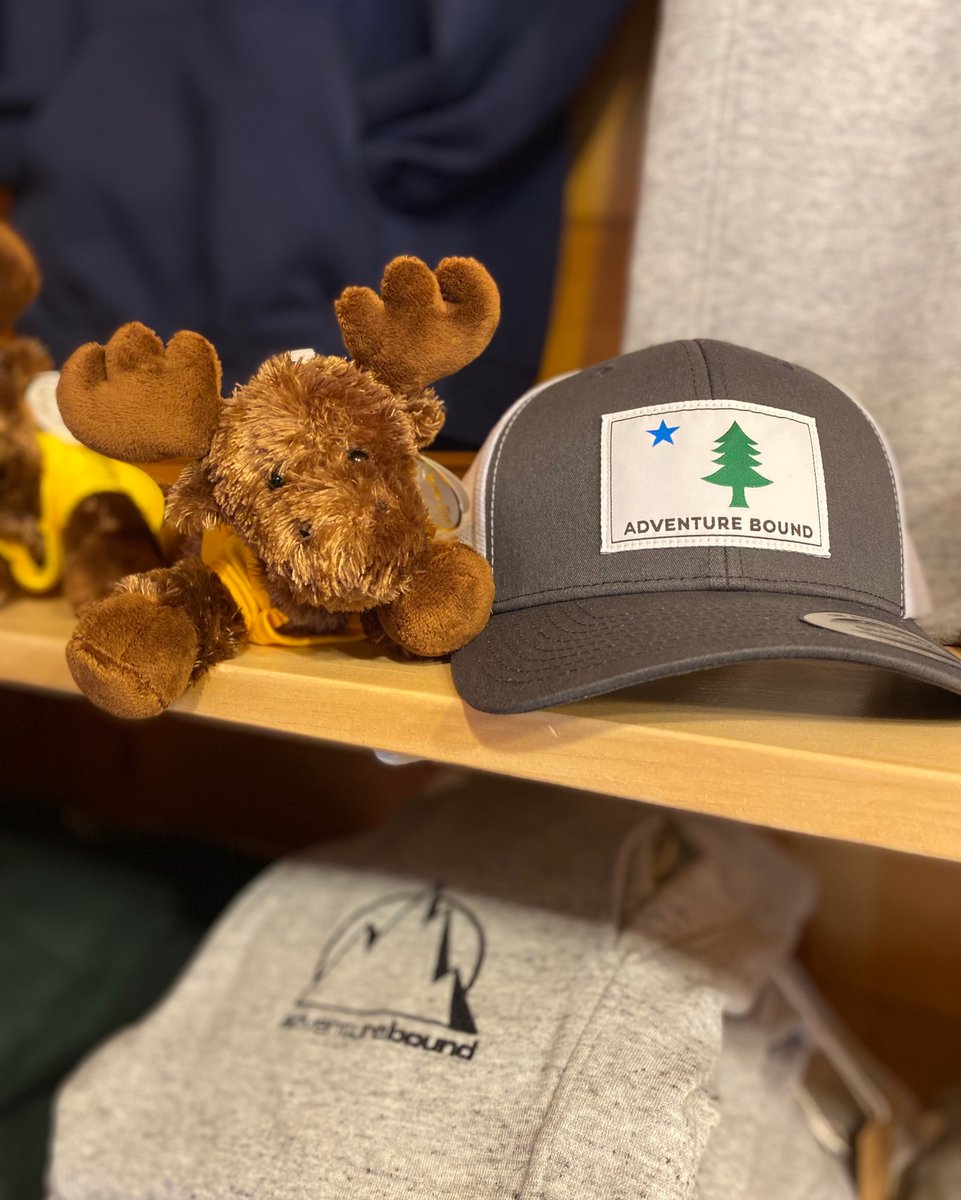AdvBoundMaine's tweet photo. We’re spending the week opening up our adventure center preparing for our first trip this Friday! That included our retail store and indoor climbing wall. We asked Cooper to help but he’s just doing a lot of hanging out! 😋
#whitewaterrafting #climbingwall #futureguide https://t.co/gGZUQbr3xB