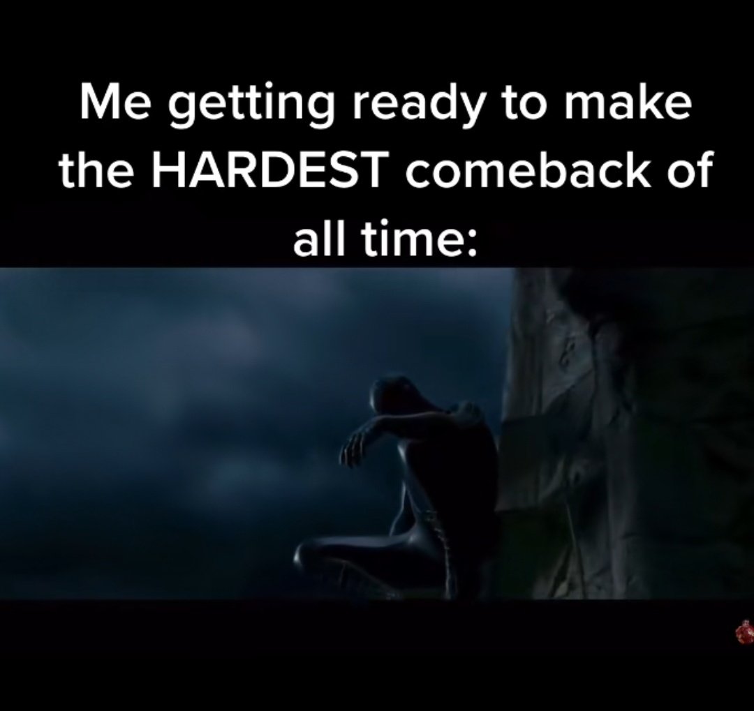 𝗦𝗙𝗟  tweet media