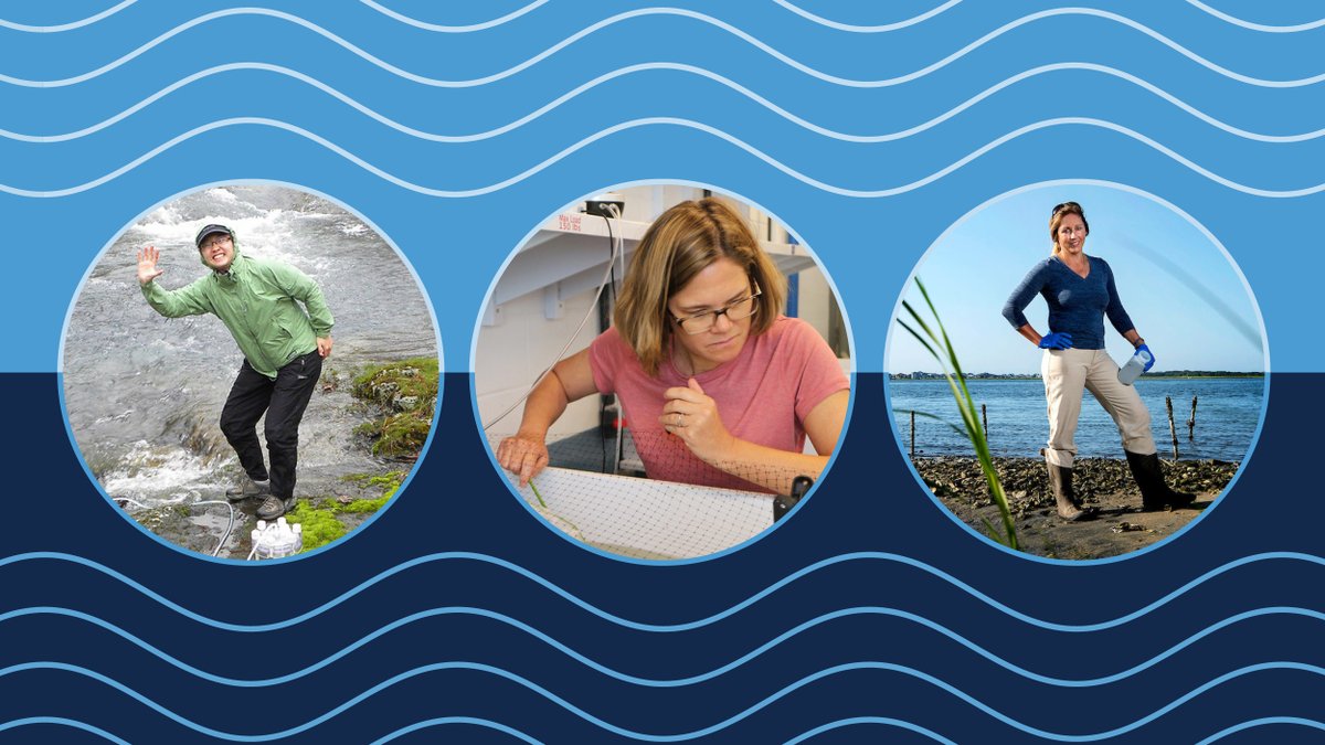 #UNC's research on water addresses a variety of issues with global ramifications. Learn what three Carolina faculty members share about the ways they keep our water healthy and clean, preserve marine life and work toward a sustainable future unc.live/3A6pNOm