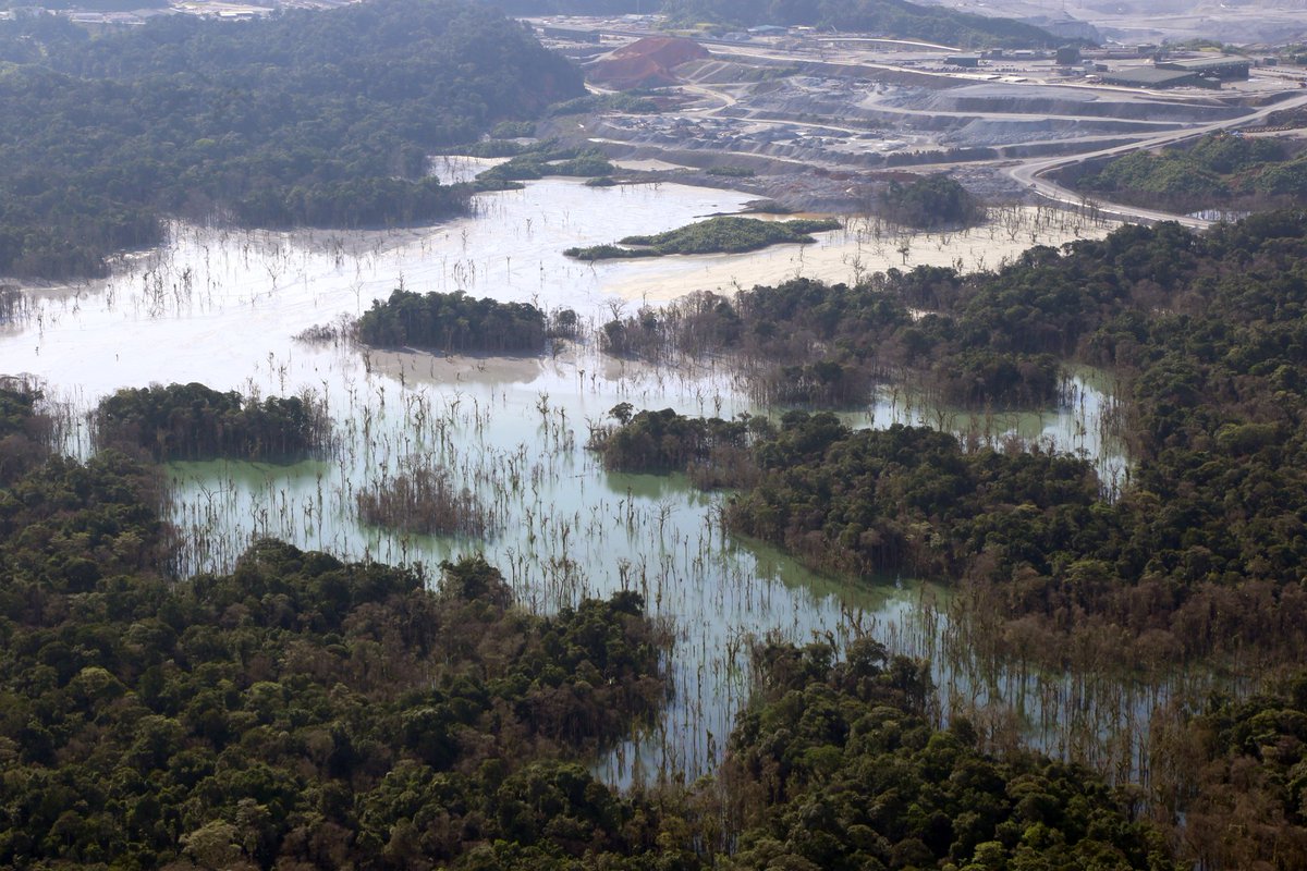 CIAM Panamá tweet media