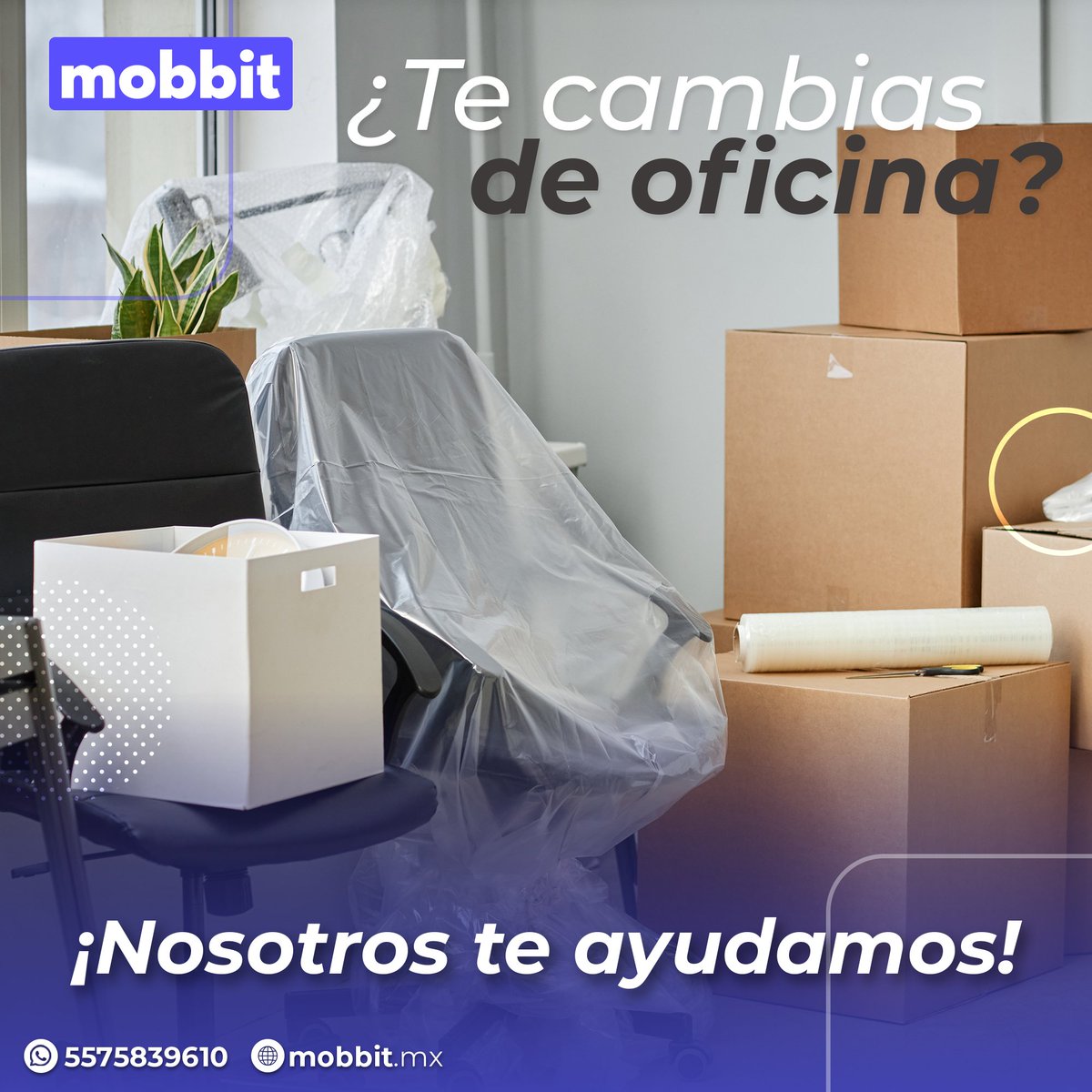 mobbit México tweet media
