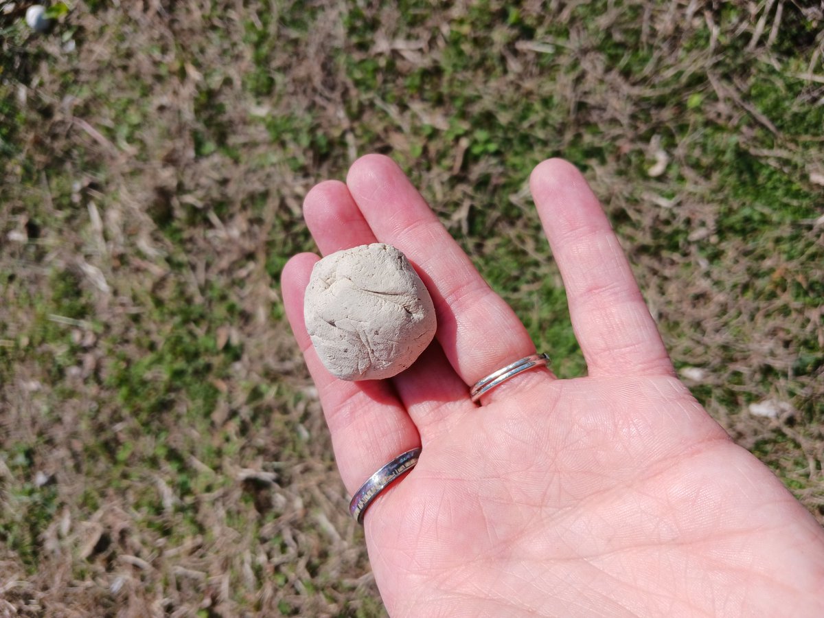 Mrs.EArnold tweet media