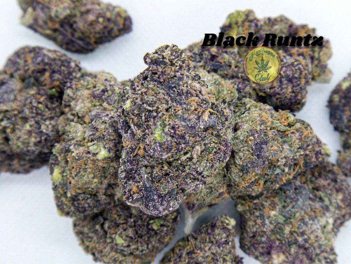 rushgreen15's tweet photo. !! New Drop This Week!!
Follow me on Instagram: @marijuanaclub.916
Text me: 916-519-9848
Follow me on Twitter: @rushgreen15
Follow my YouTube Page: marijuana club 916 go to my website @ https://t.co/4Mi6hRSAu0
Join Telegram https://t.co/YcalvloWjQ https://t.co/JM1AFH4m7L