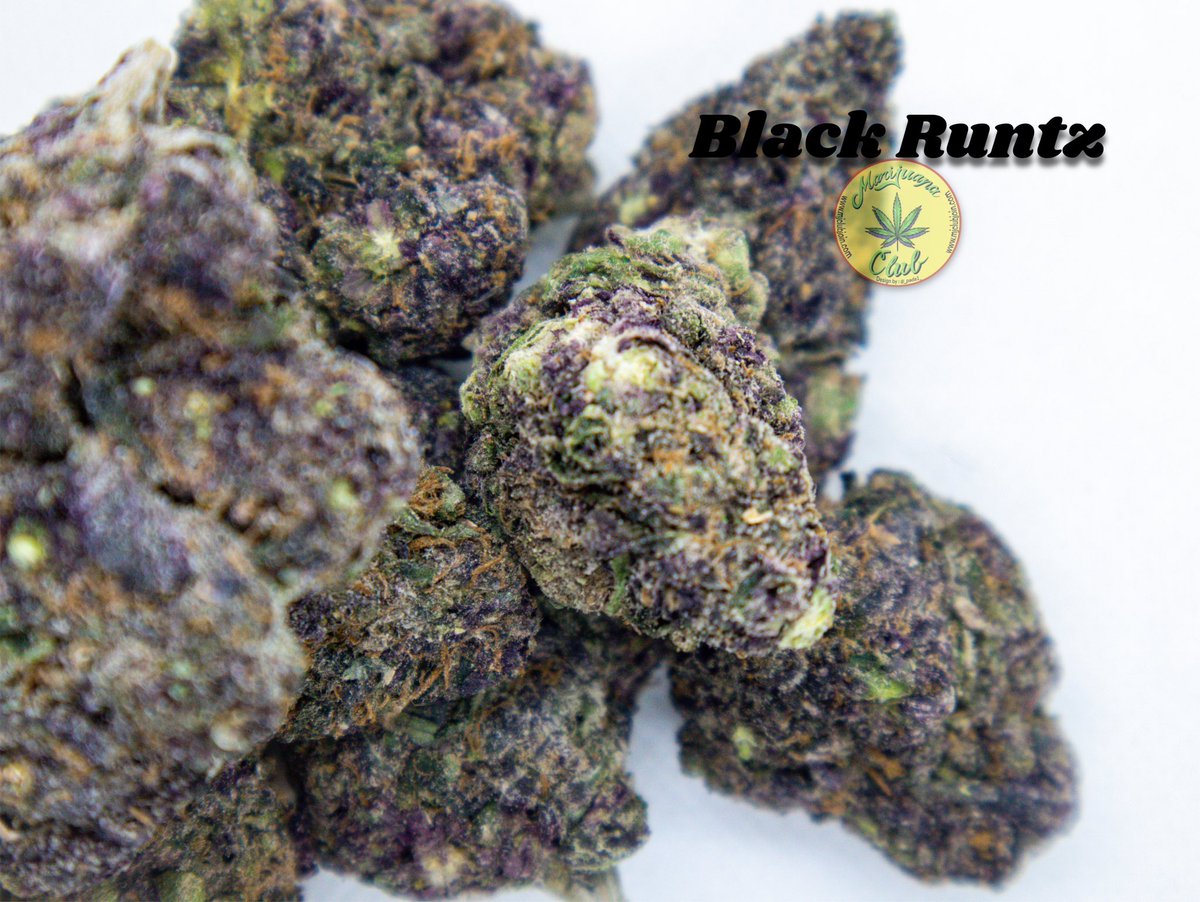 rushgreen15's tweet photo. !! New Drop This Week!!
Follow me on Instagram: @marijuanaclub.916
Text me: 916-519-9848
Follow me on Twitter: @rushgreen15
Follow my YouTube Page: marijuana club 916 go to my website @ https://t.co/4Mi6hRSAu0
Join Telegram https://t.co/YcalvloWjQ https://t.co/JM1AFH4m7L