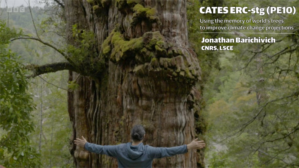 🔥Ecology job market is on fire🔥
@Jbarichivich is looking for a
👉 #postdoc  on tree-ring &amp; ecosystem modelling 
👉 #technician in tree-ring lab
for his <a href="/ERC_Research/">European Research Council (ERC)</a>  project CATES based at @LSCE in #Paris 
More info: jbarichivich.github.io/erc-cates.html
Apply here: euraxess.ec.europa.eu/jobs/93184