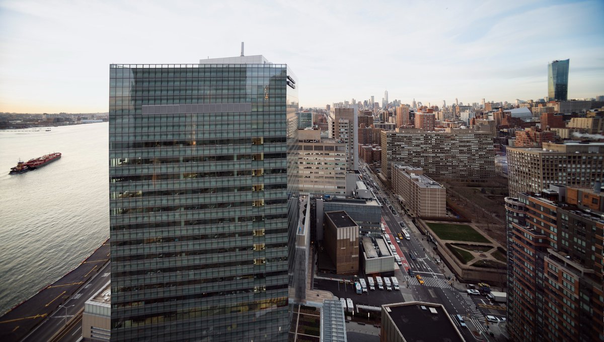 Join our team! <a href="/nyulangoneortho/">NYU Langone Orthopedics</a> is looking for an outstanding scientist with expertise in Musculoskeletal Biology and Regenerative Medicine. Check out the description at go.nature.com/43W5am3