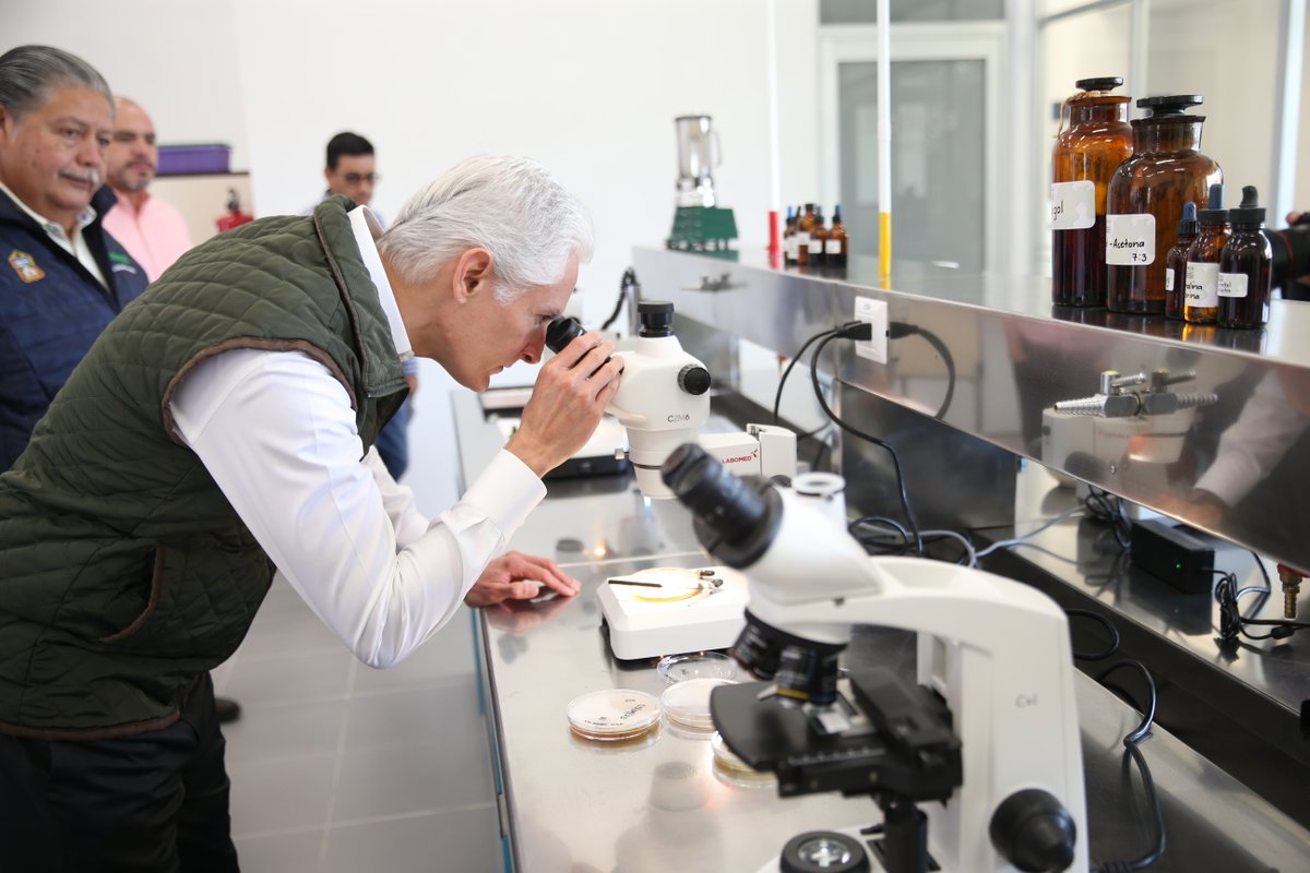 alfredodelmazo's tweet photo. En el Laboratorio de Fitopatología del @ICAMEXoficial se realizan diagnósticos para la prevención y control de enfermedades de las plantas. https://t.co/gewCAgfIgs