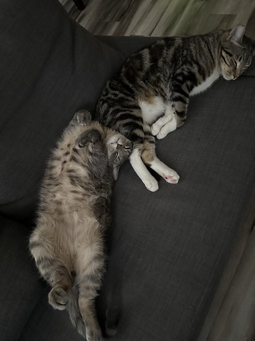 1 pic. How is that comfortable?? https://t.co/4R5a9ltvxi