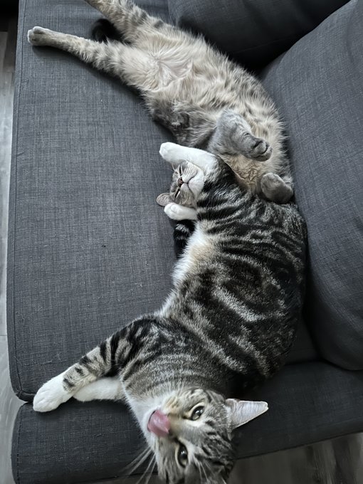 2 pic. How is that comfortable?? https://t.co/4R5a9ltvxi