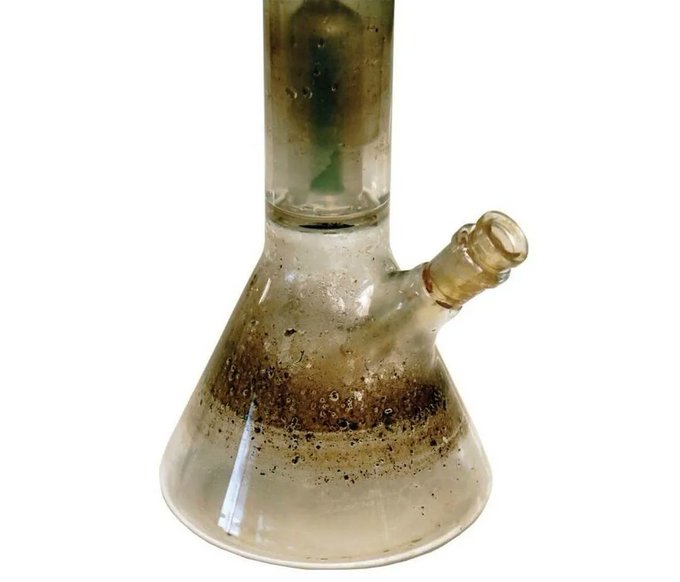 BudVizion tweet media