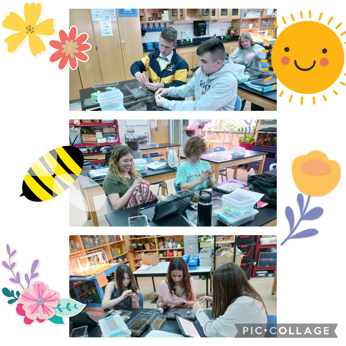 Mrs.EArnold tweet media