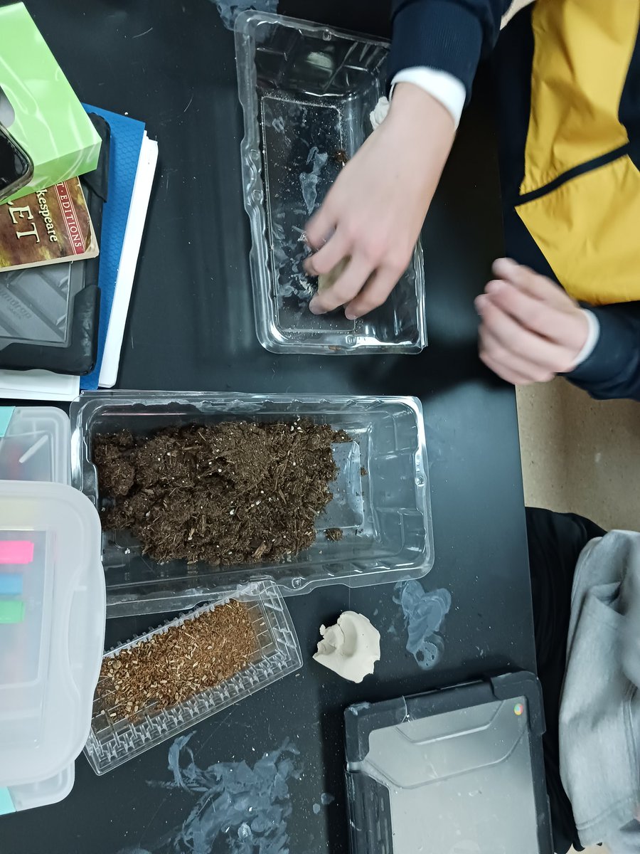 Mrs.EArnold tweet media