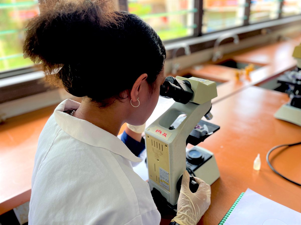 UniSouthPacific's tweet photo. Our BI309 - Comparative Animal Physiology students put in the hard yards during their lab session this week. 🔬

We know you aced those Lab reports! ✅😃

#WorkWithMeWednesday #Semester12023 #TeamUSP https://t.co/967cyVbgXQ