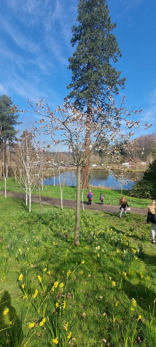 stouse79's tweet photo. @AlnwickGarden We loved it over the weekend! https://t.co/izajSnQrZq