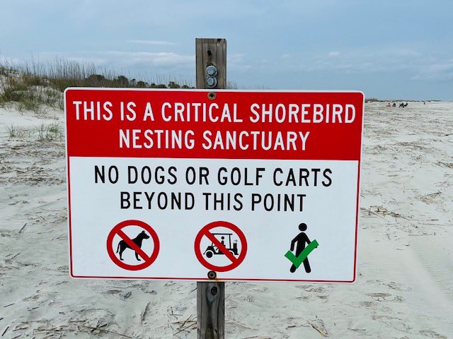 FOHISC's tweet image. Signs officially marking our Shorebird nesting sanctuary on North Beach at #HuntingIsland 🦅🌾