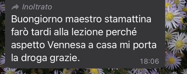 vaaneellaa's tweet photo. ve lo dico https://t.co/23H504Vpp4