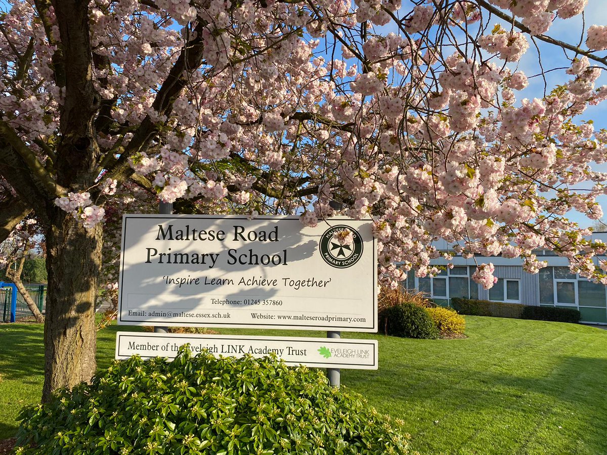 Maltese Road Primary tweet media