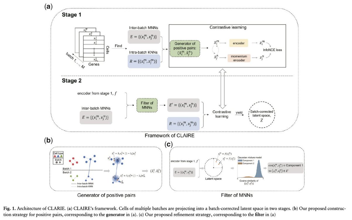 biodecoded-on-twitter-claire-contrastive-learning-based-batch