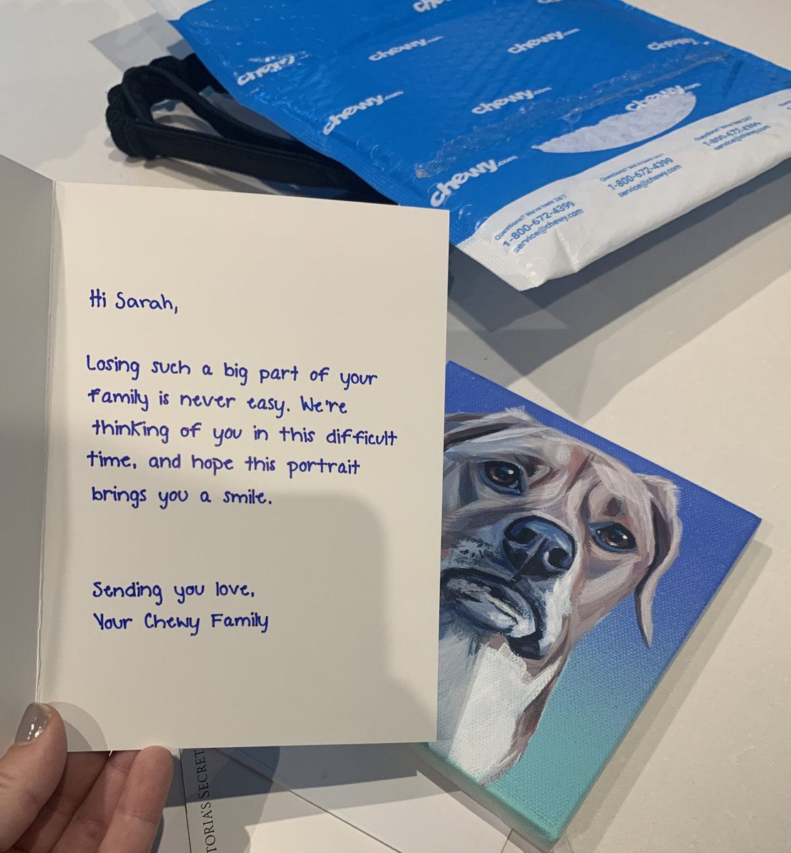 SarahRBarrie's tweet photo. Hey @Chewy — this was such a nice surprise, but Finn is very much alive and well. Is it now bad luck to keep this…? https://t.co/4MErD1FgtI