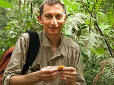 RldUp's tweet image. Flowers Use Beautiful Tricks riledupjournal.com/flowers-use-be…